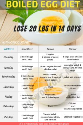 14 Day Boiled Egg Diet pdf To Lose Up 20 Pounds