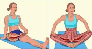 18 Stretching Exercises Showing Which Muscles You Stretch