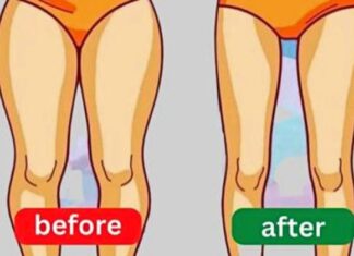 This 4 Leg Exercises That Melt Fat In Under 5 Minutes