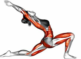 5 Minute Stretch Routine for Enhanced Flexibility