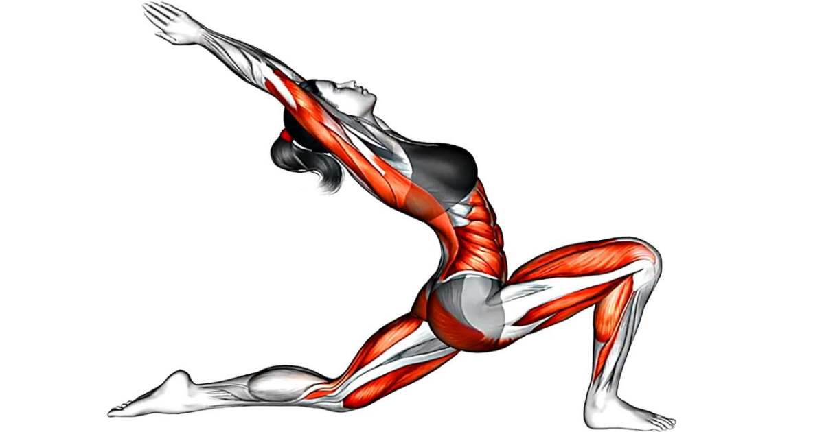 5 Minute Stretch Routine for Enhanced Flexibility