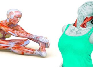 50-stretching-exercises-that-effectively-stretch-the-muscles-of-the-whole-body