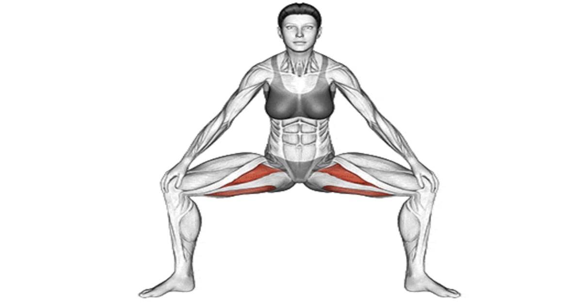 7 Effective Hip Adductor Stretch for Flexibility & Strength
