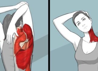 Flexibility Exercises for a Supple Body at Any Age