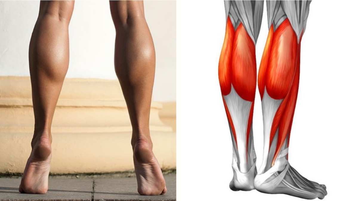 Get-calves-of-steel-14-exercises-routines-to-strengthen-your-legs