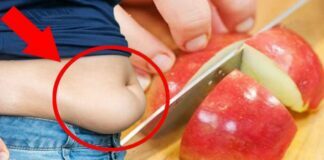 Apple Diet: Lose Up to 10 Pounds of Fat in Just 5 Days