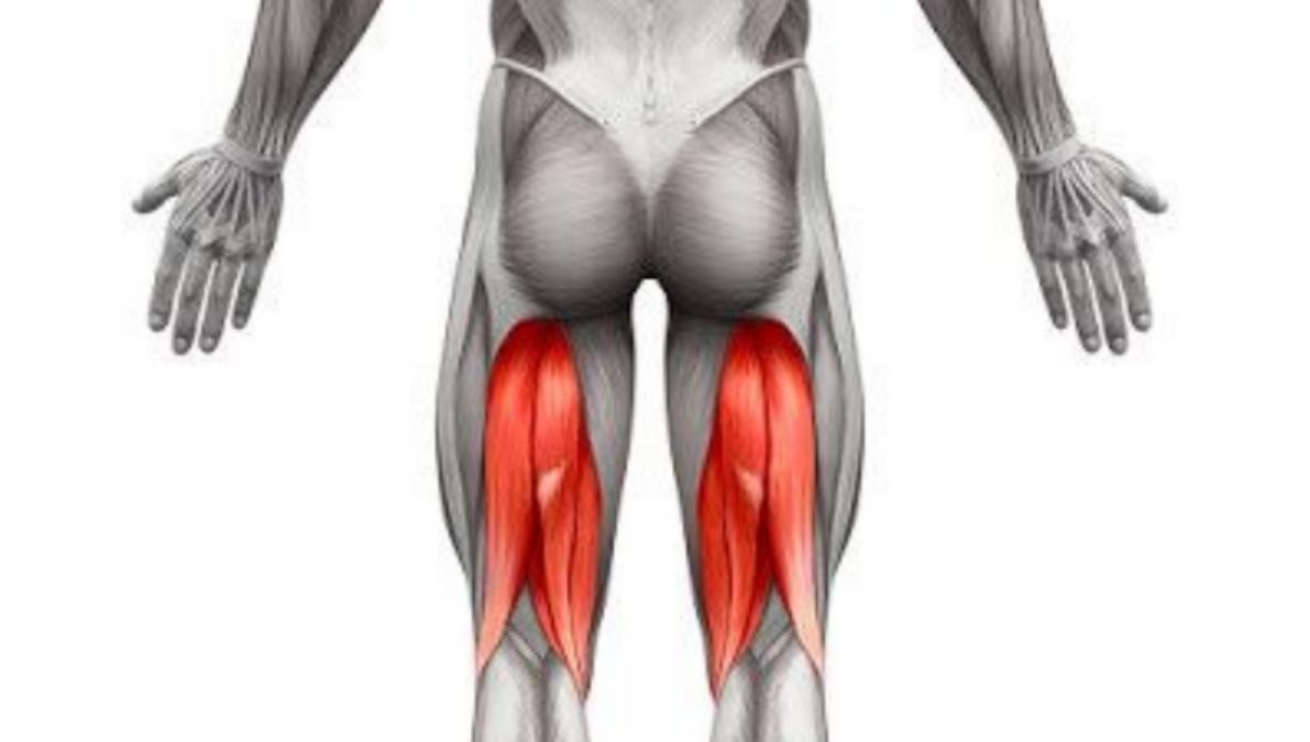 10 Hamstring Exercises to Strengthen Your Lower Body