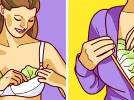 Why Women Put Cabbage Leaves On Breast Will Surprise You!