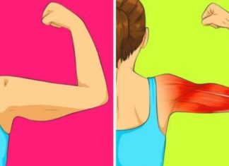 10 Biceps Exercises To Melt Arm Fat In 2 Weeks