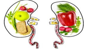 7 Day Renal Diet Meal Plan