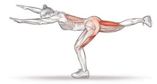 5 Effective Hamstring Workout at Home
