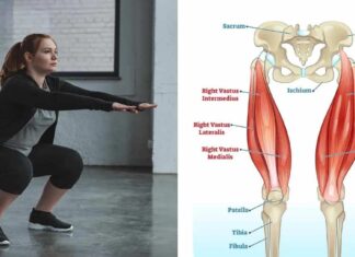 10 Quad Exercises That Melt Away Fat And Shape Your Thighs