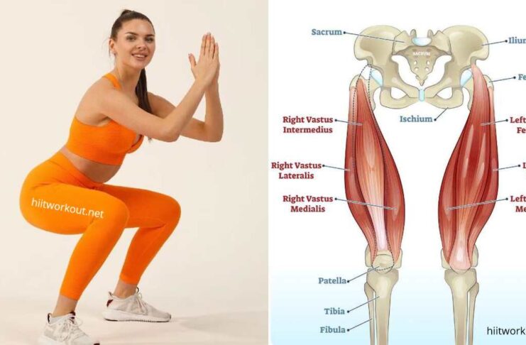 7 Fat Quad Exercises That Melt Away Fat And Shape Your Thigh