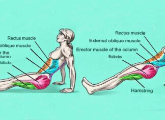 Reverse Plank: The exercise that burn abdominal fat and improves posture